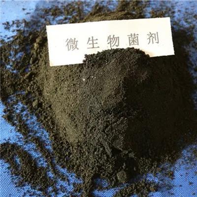复合微生物菌剂相关产品推荐